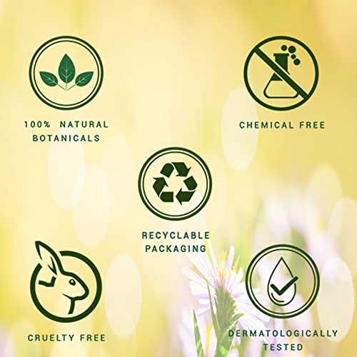 Biotique Morning Nectar Flawless Skin Moisturizer l Prevents Dark spots, Blackheads and Blemishes l Visibly Flawless Skin l Nourishes and Hydrates Skin l All Skin Types l 190ml Moisturizer from Biotique