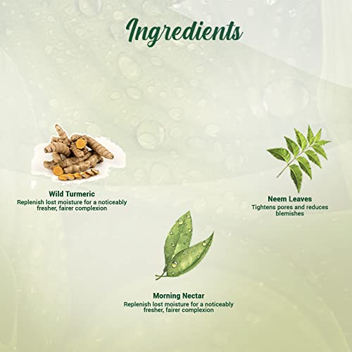 Biotique Morning Nectar Moisturize & Nourish Face Wash | Contains Wild Turmeric, Neem Leaves, & Morning Nectar | Visibly Flawless Skin | Suitable for All Skin Types | 150 ml face Wash from Biotique