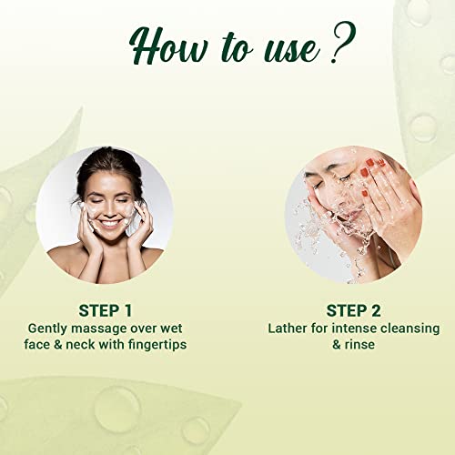 Biotique Morning Nectar Moisturize & Nourish Face Wash | Contains Wild Turmeric, Neem Leaves, & Morning Nectar | Visibly Flawless Skin | Suitable for All Skin Types | 150 ml face Wash from Biotique