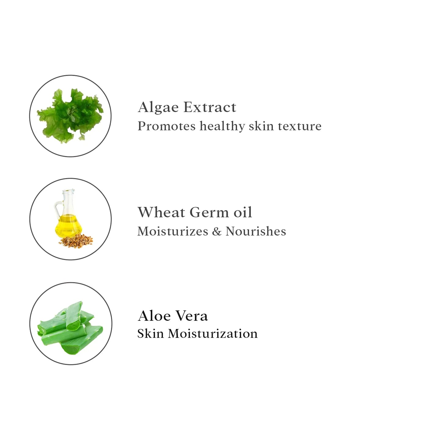 O3+ Seaweed Night Cream, 50g Face Cream from O3+