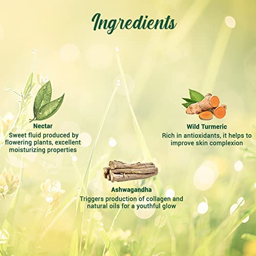 Biotique Morning Nectar Flawless Skin Moisturizer Cream | Prevents Dark Spots, Blackheads And Blemishes | Visibly Flawless Skin | Nourishes And Hydrates Skin| All Skin Types | 120Ml Face Cream from Biotique