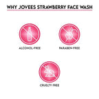 Jovees Herbal Strawberry Face Wash with Strawberry Extracts | For Normal to Dry Skin | For Women/Men | For Hydrating & Glowing Skin 120ml (Pack of 1)  from JOVEES