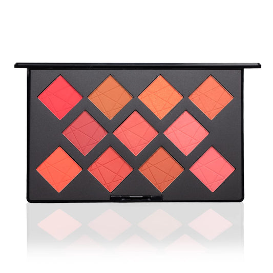 PAC Take Cover Blusher X11 | Long Lasting, Matte HD Finish Face Palette | 11 Lightweight Natural Shades with Highlighter, Shimmer Blush & Bronzer | Highly Pigmented & Blendable for All Skin Type - 6g  from PAC