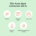 Foxtale Acne Gel| Reduces Pimples Overnight and Prevents Acne Scars| Spot Corrector for Oily, Acne Prone Skin| 2% Azelaic Acid,2% Salicylic Acid, 3% Glycolic Acid, Niacinamide| Men&Women-15ml  from FoxTale