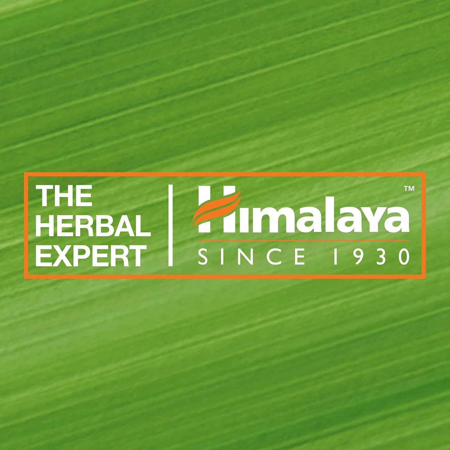 Himalaya Natural Glow Fairness Cream, 50gm  from Himalaya SINCE 1930