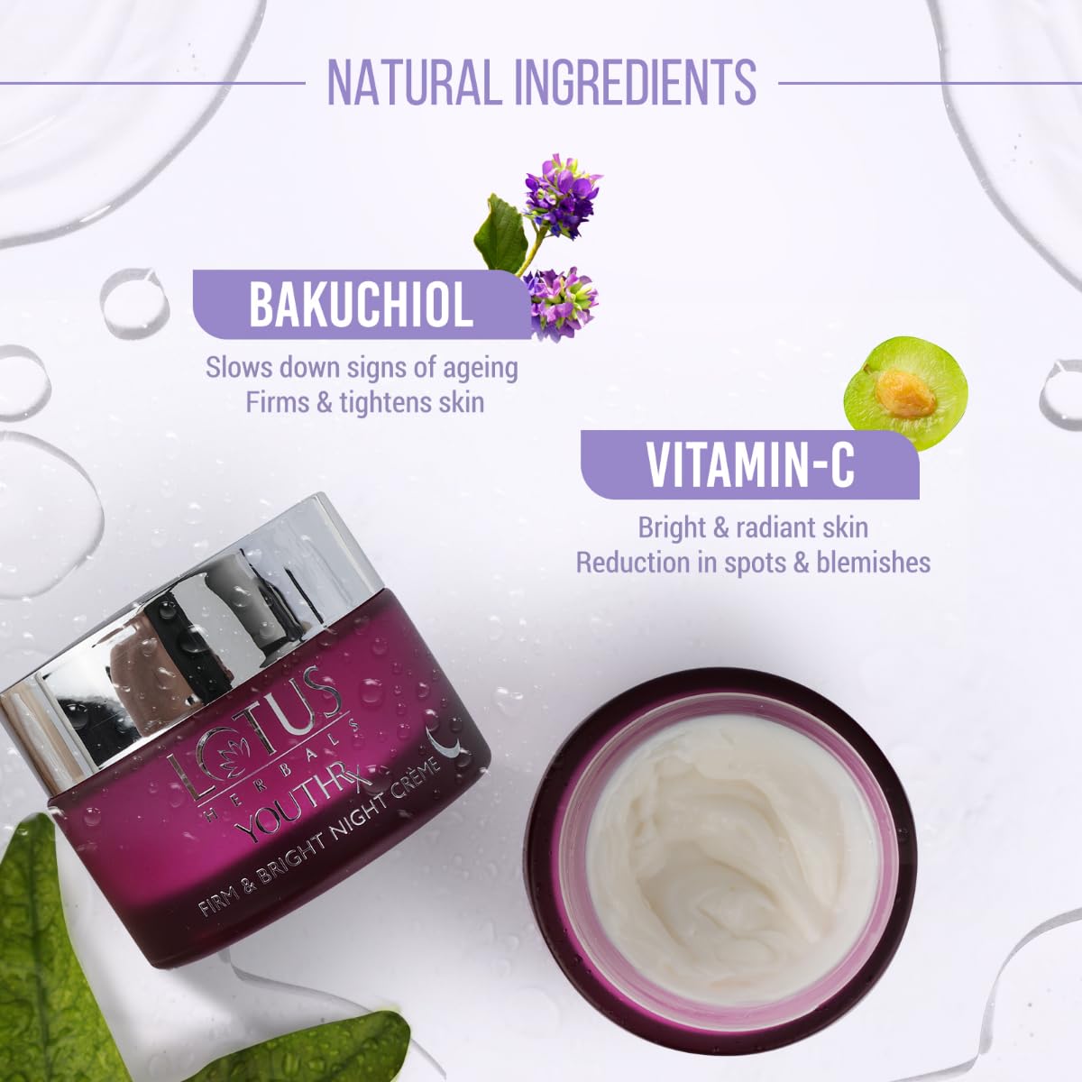 Lotus Herbals YouthRx Firm & Bright Night Cream | Bakuchiol Retinol & Vitamin C | Anti Ageing & Brightening | 50g  from Lotus