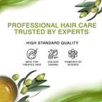 Streax Professional Spa Nourishment Hair Masque for Women|For Very Dry & Damaged Hair|With Olive Oil & Shea Butter|Moisturises, Revitalizes & Helps strengthen Chemically Treated Hair|200g  from Streax Professional