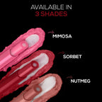 RENEE Lip Fix 3 in 1 Tinted Lip Balm 01 Sorbet 1.6 Gm, Heals, Lightens & Nourishes | Dual Core Care Enriched with Vitamin E, Shea Butter & Jojoba Oil for Dry & Chapped Dry Lips  from RENEE