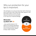 Minimalist SPF 30 Lip Balm (8 g) lip balm from HAVIN