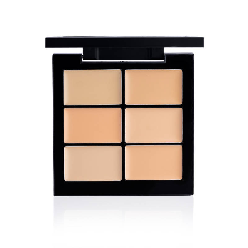 PAC Go Concealer X6 Light-Highly Pigmented Full Coverage Creamy Texture Blurs Blemishes Cruelty-free